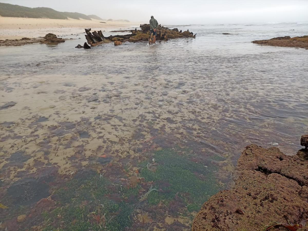 Beached House On Golden Sanddunes Cannon Rocks Экстерьер фото